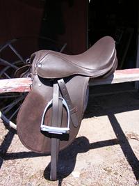 Click to enlarge youth english saddle