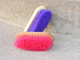 Wood backed medium sized brush in Blue, Pink, Purple and Brown